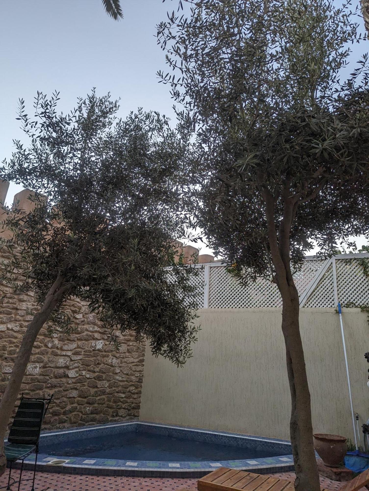 Aghata Palms Riad Szavíra Kültér fotó