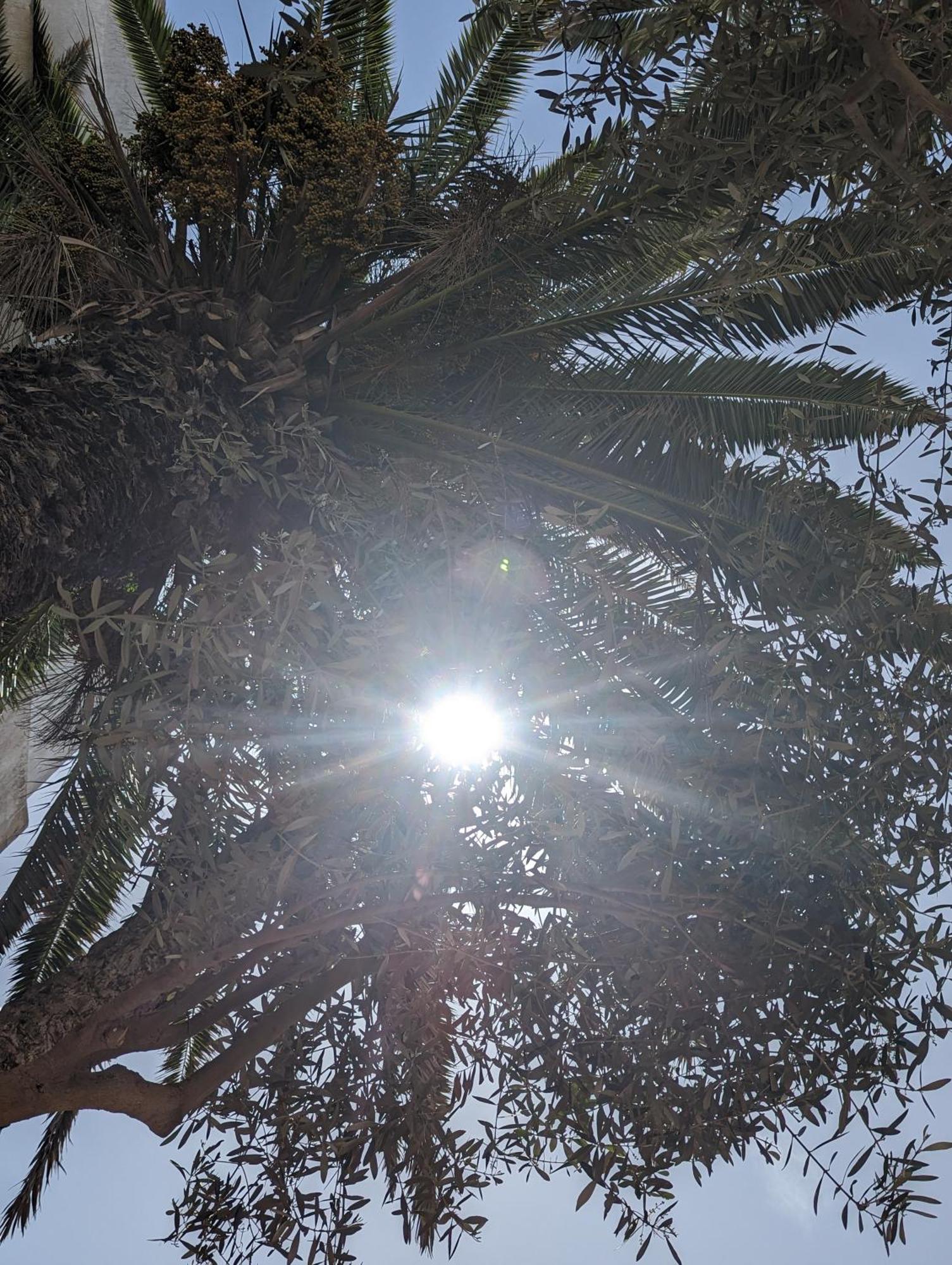Aghata Palms Riad Szavíra Kültér fotó